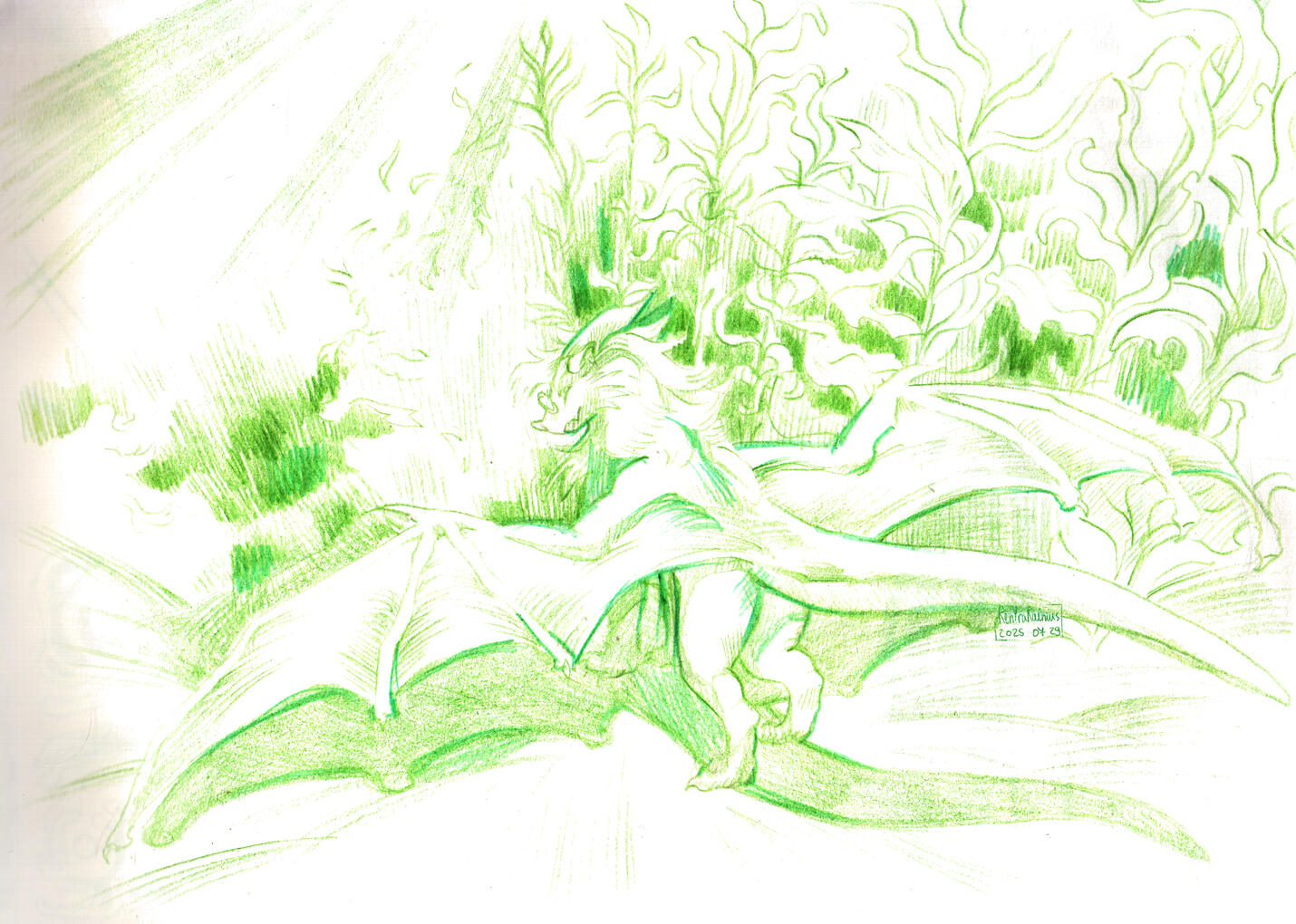 Untitled Untitled